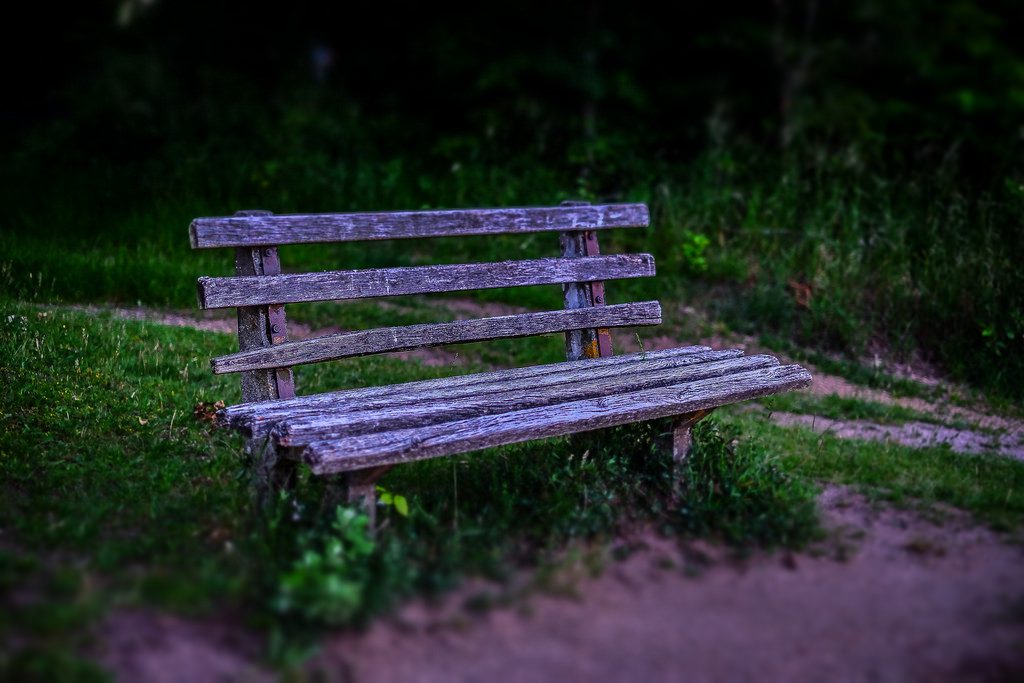 Image credit: Matthias Ripp; CC BY